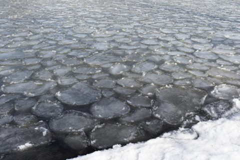 Winter, ice pattern formation, Chateauguay River, Province of Quebec, Canada, North America