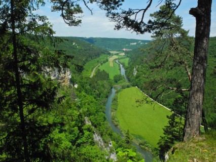 View of the Upper Danube valley from the Knopfmacherfelsen rock, nature park, Tuttlingen district,