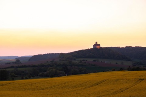 Landscape at sunrise. Beautiful morning landscape with fresh yellow rape fields in spring. Small