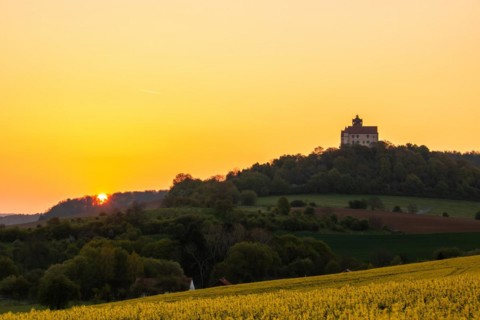 Landscape at sunrise. Beautiful morning landscape with fresh yellow rape fields in spring. Small