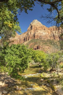 View from Virgin River to Watchman Mountain, Zion National Park, Colorado Plateau, Utah, USA, Zion