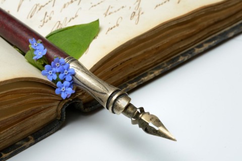 Pen and flower on diary, forget-me-not