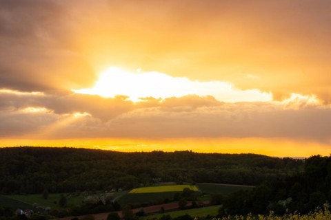 Landscape at sunrise. Beautiful morning landscape with fresh yellow rape fields in spring. Small