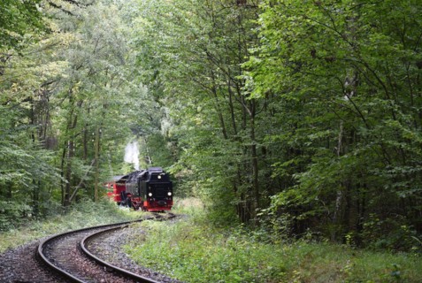 The Harz Narrow Gauge Railway, Brocken Railway, Selketal Railway in the Harz Mountains,