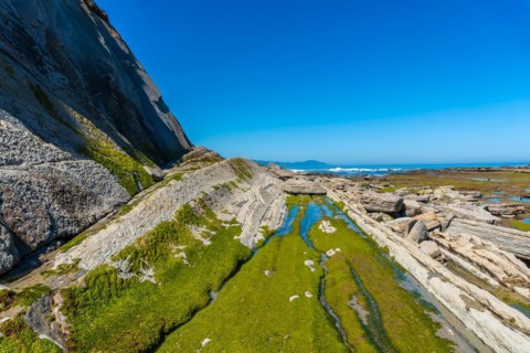 Marine vegetation in Algorri cove on the coast in the flysch of Zumaia without people, Gipuzkoa.