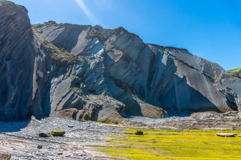 Flysch Basque Coast Geopark in Zumaia with low seas with marine vegetation, Gipuzkoa