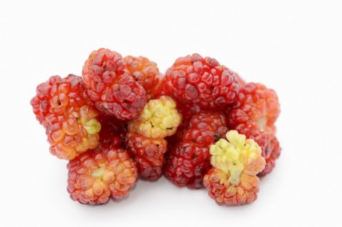 Strawberry spinach (Chenopodium foliosum, Blitum virgatum), fruits on a white background, vegetable