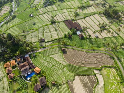 Hotel Kubu Sakian Villa and extension of Pak Choi in Sidemen, Amed, Karangasem, Bali, Indonesia,