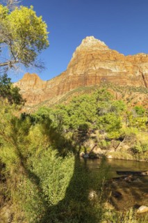 Watchman Mountain (1998m) at sunset, Zion National Park, Colorado Plateau, Utah, USA, Zion National