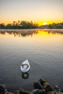 View of a river and its bank. the way to the city with a ferry. Landscape photograph of