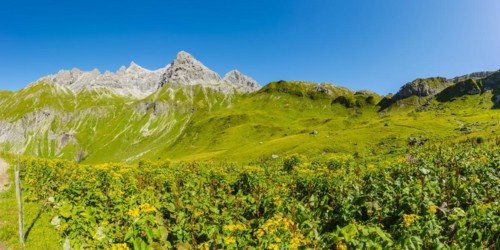 Panorama from the Kemptner Huette, 1844m, to the Muttlerkopf, 2368m, Allgaeu Alps, Allgaeu,