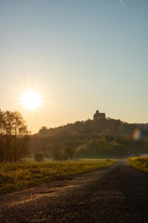 Landscape at sunrise. Beautiful morning landscape with fresh yellow rape fields in spring. Small