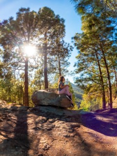 A woman sits on a rock in a forest. The sun is shining on her, creating a warm and peaceful
