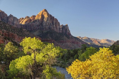 View from Virgin River to Watchman Mountain, Zion National Park, Colorado Plateau, Utah, USA, Zion