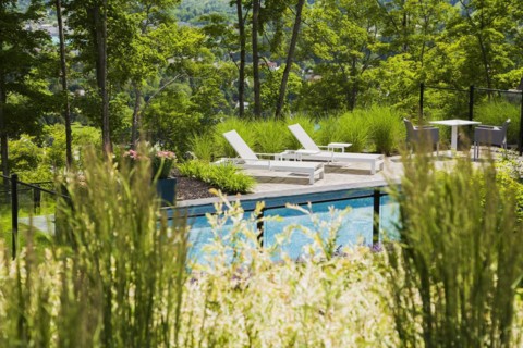 View through ornamental grass plants and shrubs of two white long chairs on edge of in-ground