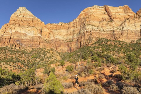 Jogger on the Watchman Trail, Watchman Mountain, Zion National Park, Colorado Plateau, Utah, USA,