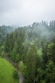 Misty natural landscape and view down into the Eistobel in the nature reserve of the same name in