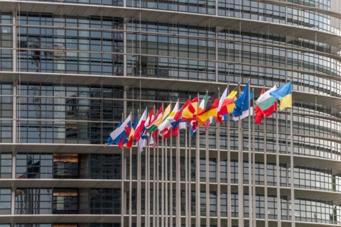 Flags of the European countries in front of the European Parliament in Strasbourg. Bas rhin,