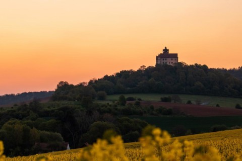 Landscape at sunrise. Beautiful morning landscape with fresh yellow rape fields in spring. Small