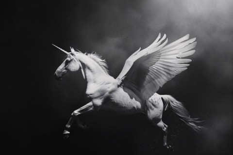 Beautiful Pegasus with unicorn horn on black background. KI generiert, generiert, AI generated