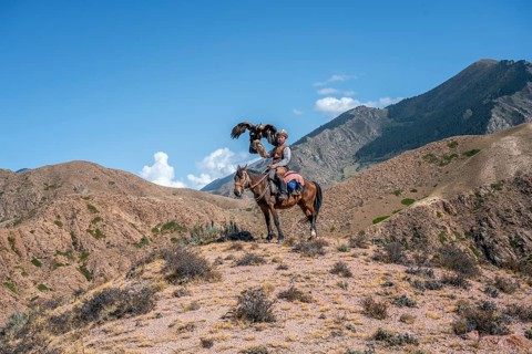 Traditional Kyrgyz eagle hunter riding with eagle in the mountains, eagle spreading its wings,