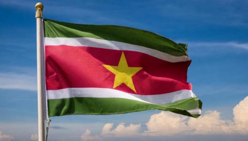 The flag of Suriname, fluttering in the wind, isolated, against the blue sky
