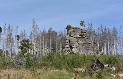 The Feuersteinklippe, rock formation in the Harz Mountains near Schierke, Saxony-Anhalt, Germany,