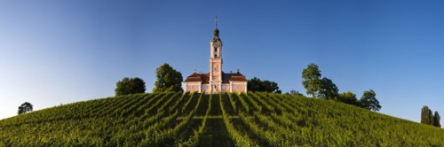 Vineyards, Birnau pilgrimage church, baroque church, exterior view, Uhldingen-Muehlhofen on Lake