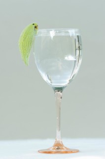 Common milkweed (Asclepias syriaca), fruit as a decorative parrot on a wine glass