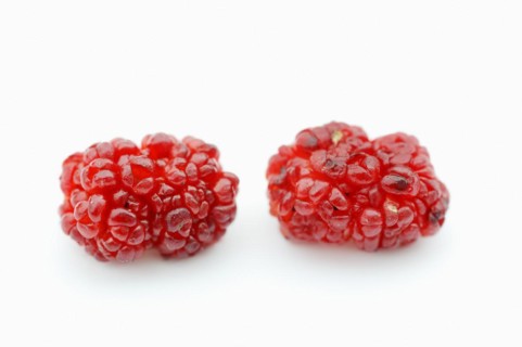 Strawberry spinach (Chenopodium foliosum, Blitum virgatum), fruits on a white background, vegetable
