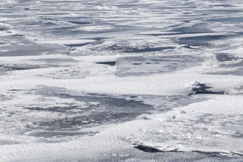 Winter, pack ice in the Saint Lawrence River, Province of Quebec, Canada, North America