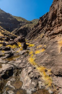 Beautiful river on the way up to Charco Azul in the Podemos to Agaete in Gran Canaria, Canary