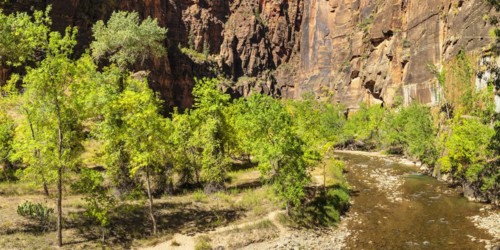 Riverside Walk, Temple of Sinawava, Zion National Park, Colorado Plateau, Utah, USA, Zion National