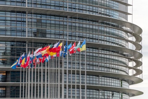 Flags of the European countries in front of the European Parliament in Strasbourg. Bas rhin,