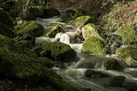 Mountain stream in the forest with mossy basalt rocks, blocks of basalt in the stream bed, Tertiary