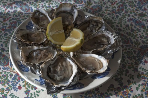 Fresh oysters with lemon on a plate, Atlantic coast, France, Europe