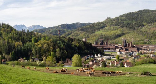 Cows grazing in front of the Donawitz steelworks of voestalpine AG, Donawitz district, Leoben,