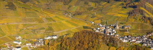 Vineyards in autumn, Mayschoss with parish church, red wine growing region Ahrtal, red wine of the