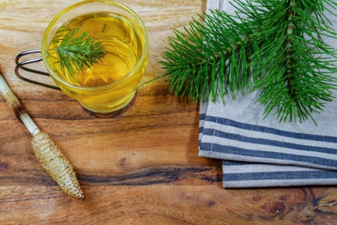 Infusion of medicinal plant, horsetail Equisetum arvense with fresh branches for health care on a