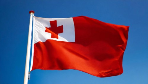 The flag of Tonga, fluttering in the wind, isolated, against the blue sky
