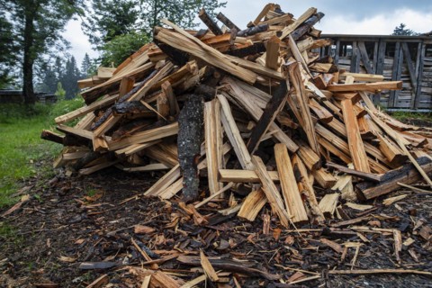 A pile of logs, freshly split firewood