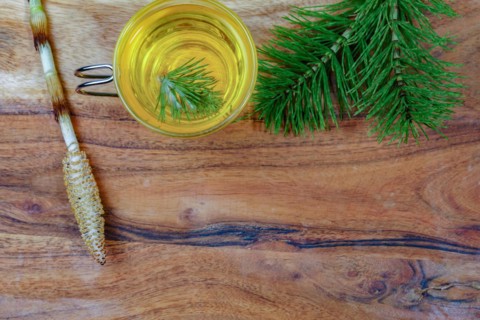 Top view of a infusion of medicinal plant, horsetail Equisetum arvense with fresh branches for