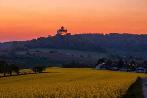Landscape at sunrise. Beautiful morning landscape with fresh yellow rape fields in spring. Small