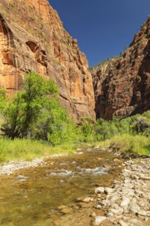 Riverside Walk, Temple of Sinawava, Zion National Park, Colorado Plateau, Utah, USA, Zion National