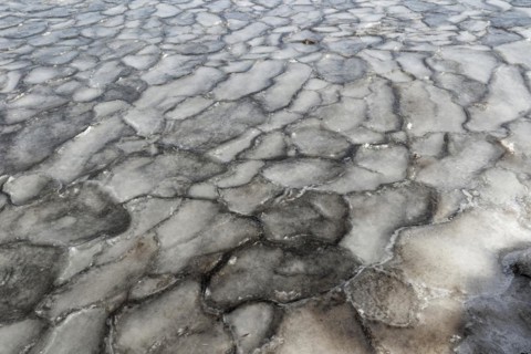 Winter, ice pattern formation, Chateauguay River, Province of Quebec, Canada, North America