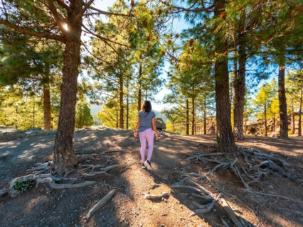 A woman walking in the landscape on the trails up to Roque Nublo in Gran Canaria, Canary Islands