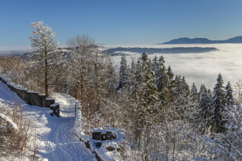 View from the Eisenberg castle ruins towards Fuessen, Allgaeu, Swabia, Bavaria, Germany, Pfronten,