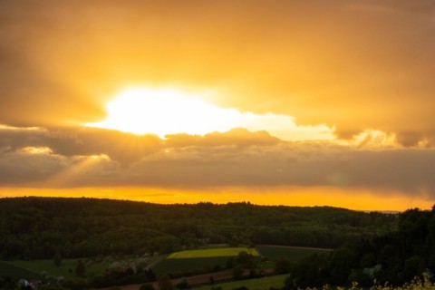 Landscape at sunrise. Beautiful morning landscape with fresh yellow rape fields in spring. Small