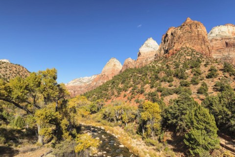 Virgin River in autumn, Zion National Park, Colorado Plateau, Utah, USA, Zion National Park, Utah,