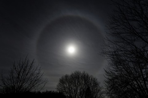 Nature, astronomy, halo during the total solar eclipse 2024, Province of Quebec, Canada, North